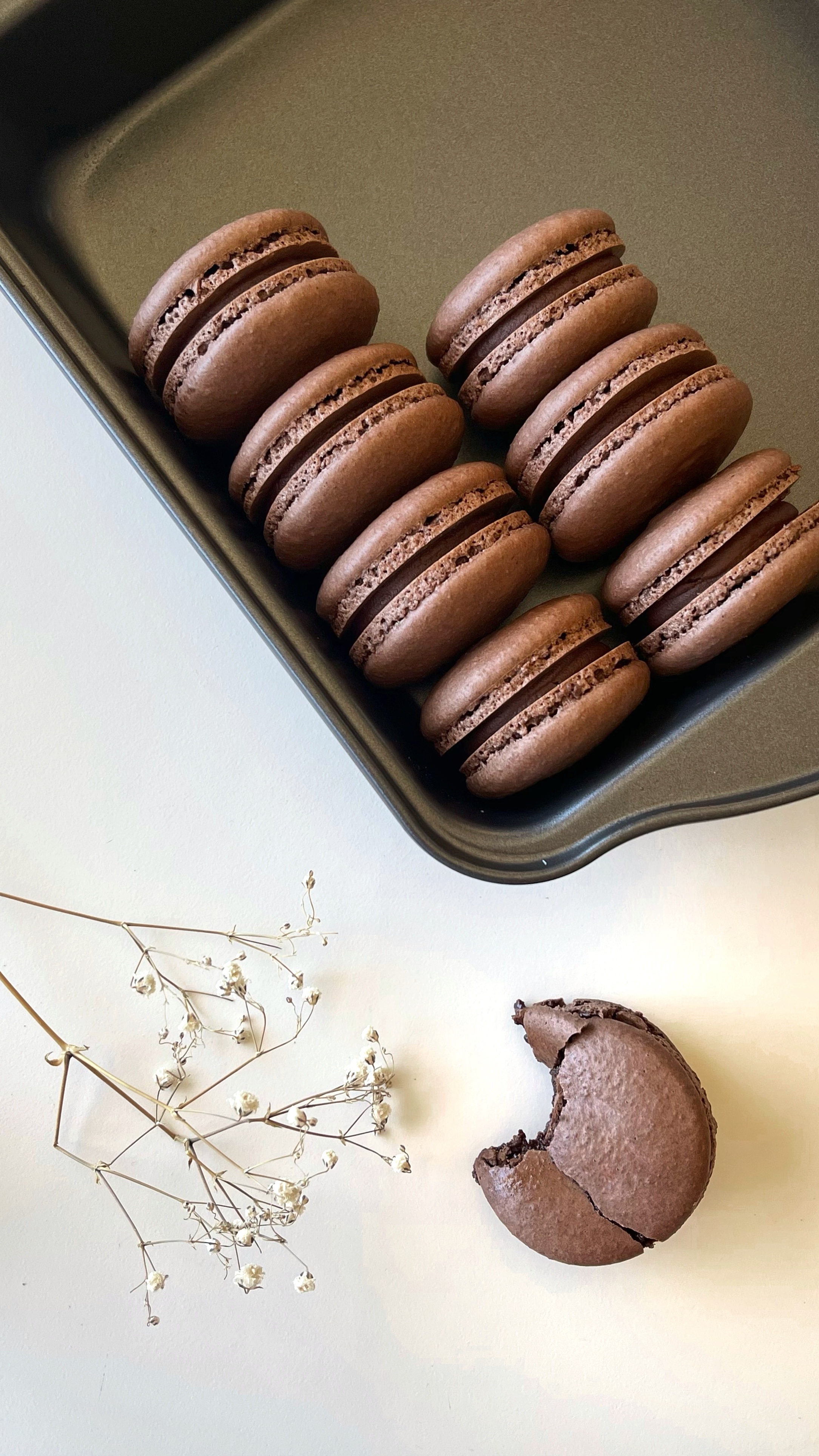 chocolate macarons – audreysaurus